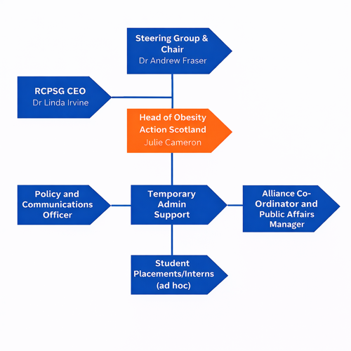 Obesity Action Scotland organisational chart